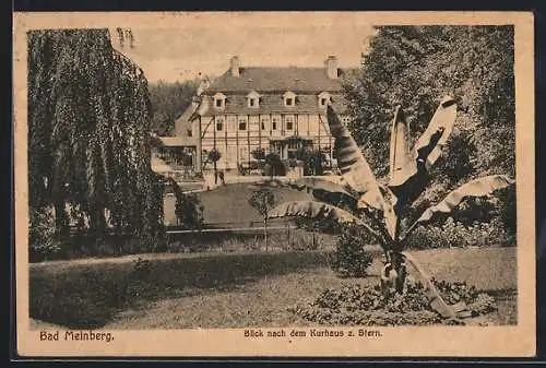 AK Bad Meinberg, Blick nach dem Kurhaus zum Stern