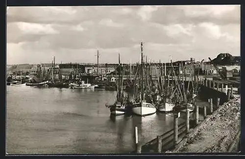 AK Norddeich / Ostfriesland, Partie im Fischerhafen