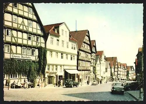 AK Wildungen, Löwen-Apotheke in der Brunnenstrasse