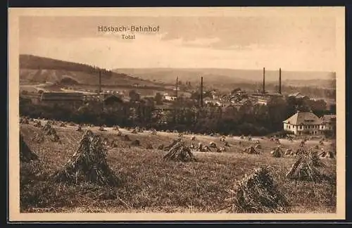 AK Hösbach-Bahnhof, Totale