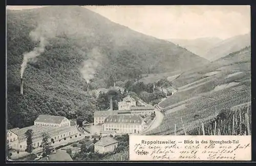 AK Rappoltsweiler, Blick in das Strengbachtal