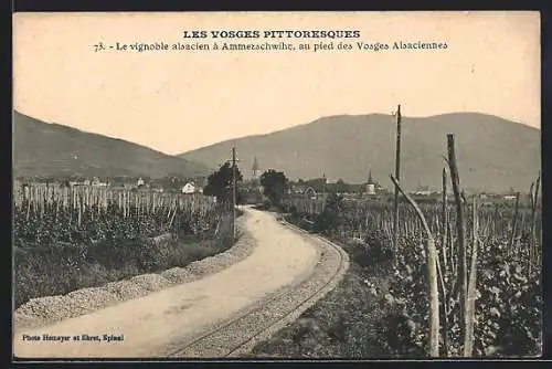 AK Ammerschwiht, Le vignoble alsacien au pied des Vosges Alsaciennes