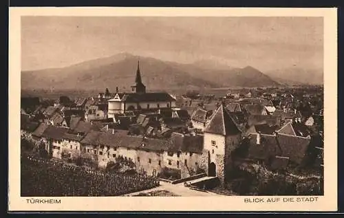 AK Türkheim, Blick auf die Stadt