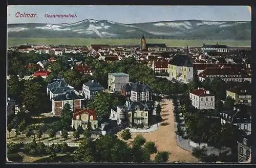 AK Colmar, Gesamtansicht mit Bergen