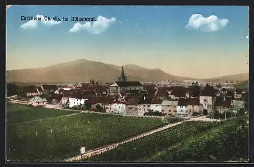 AK Türkheim /Ob. Els., Ortseingang mit Stadttor