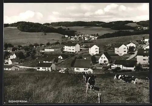 AK Eichhof-Kürten, Weidende Kühe mit Blick über die Ortschaft