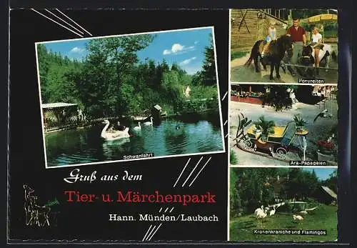 AK Hann. Münden /Laubach, Tier- und Märchenpark, Bes. Walter Surup