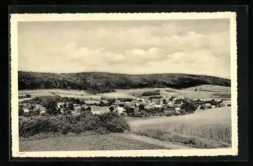 AK Hohenbüchen / Alfeld, Blick auf Reuberg