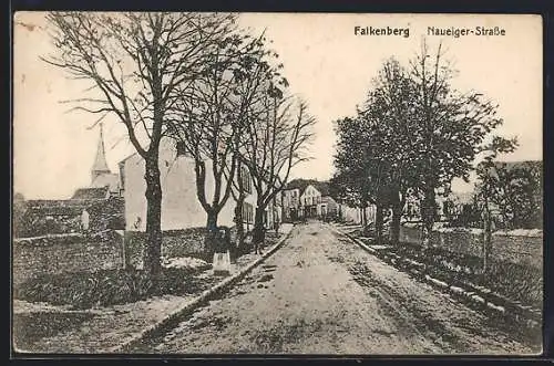 AK Falkenberg, Die Naueiger-Strasse