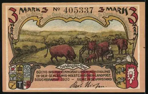 Notgeld Süderbrarup, 1920, 3 Mark, Torbergmoor mit Hünengrab und Angler Rind