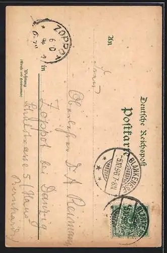 Lithographie Hamburg-Blankenese, Dampfer vor dem Süllberg