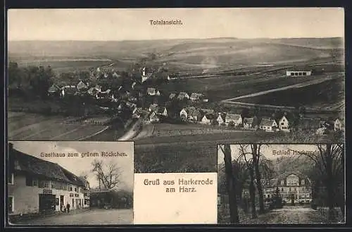 AK Harkerode am Harz, Das Gasthaus zum grünen Röckchen, das Schloss, Gesamtansicht