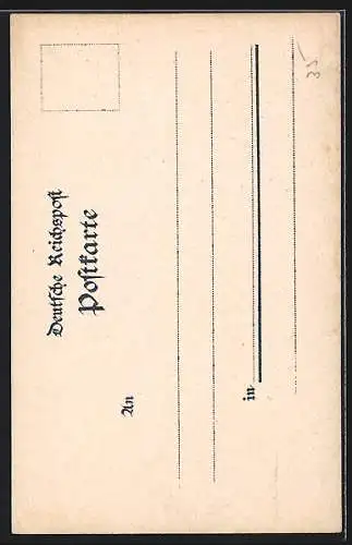 Lithographie Konstanz, Kath. Vereinshaus mit Strasse und Anlagen aus der Vogelschau