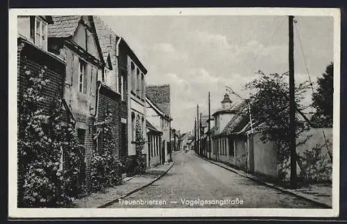 AK Treuenbrietzen, Blick in die Vogelsangstrasse