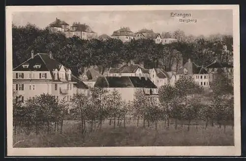 AK Erlangen, Ortsansicht mit Burgberg