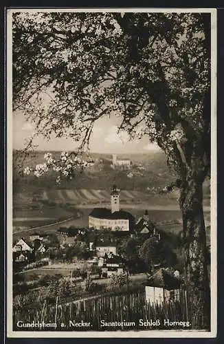 AK Gundelsheim a. Neckar, Sanatorium Schloss Hornegg