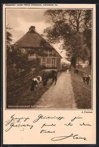 AK Elmshorn, Deichlandschaft mit Kühen