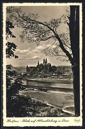 AK Meissen, Blick auf Albrechtsburg und Dom