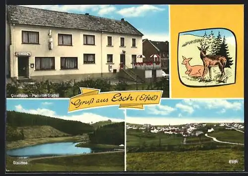 AK Esch /Eifel, Gasthaus-Pension Stabel, Stausee, Gesamtansicht