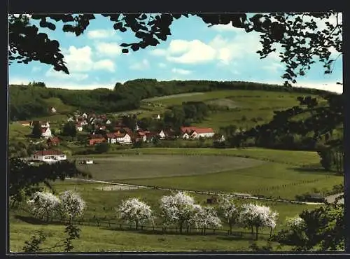 AK Himmighausen, Partie am Feld, im Hintergrund der Varusberg Historische Gaststätte Kukuk