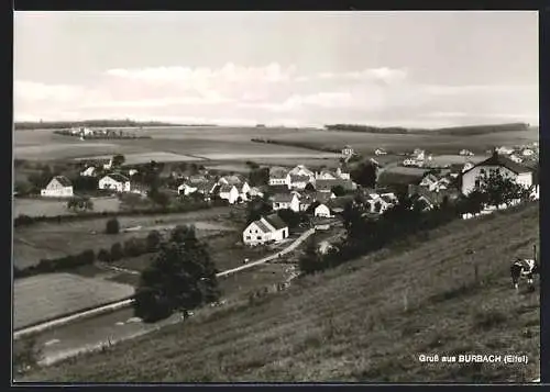 AK Burbach /Eifel, Ortsansicht mit Kuhwiese