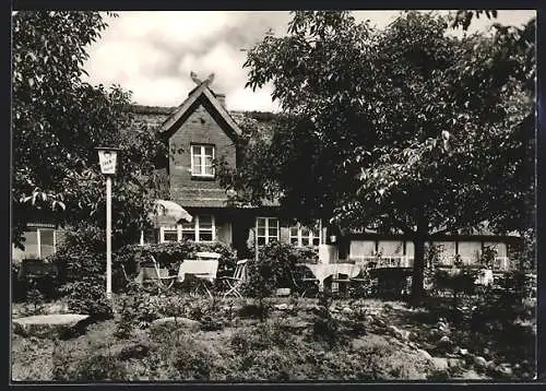 AK Ratzeburg /Römnitz, Gasthaus mit Garten