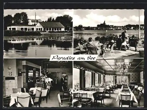 AK Mölln / Lauenburg, Café Paradies am See