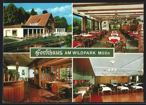 AK Mölln / Lauenburg, Restaurant am Wildpark, Inh. Kurt Meier, Villenstrasse 13a