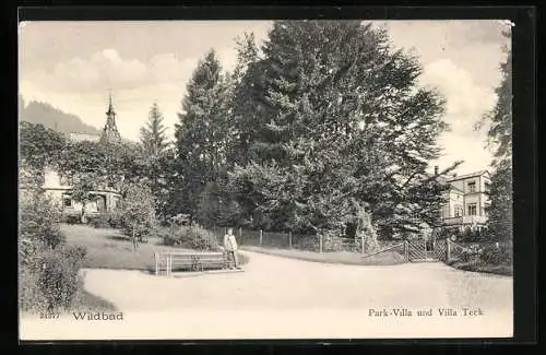 AK Wildbad / Schwarzwald, Park-Villa und Villa Teck