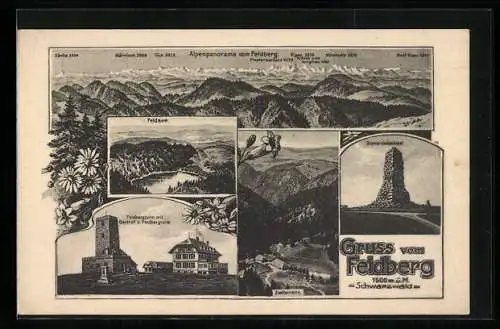 AK Feldberg / Schwarzwald, Feldsee, Zastlerhütte, Feldbergturm mit Gasthof z Feldbergturm, Alpenpanorama vom Feldberg