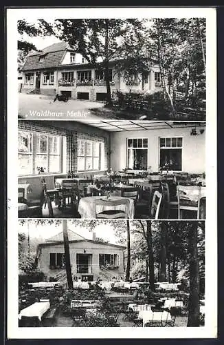 AK Elze-Land / Esbeck, Das Gasthaus Waldhaus Mehle mit Speisezimmer und Gartenbereich, Inh. H. Bruns