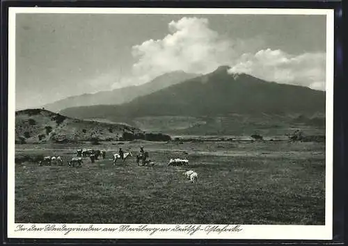 AK Mount Meru, Weidegründe am Meruberg