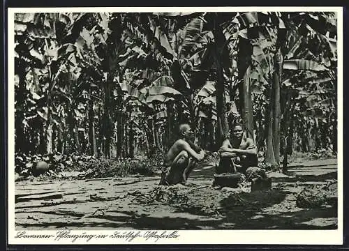 AK Deutsch-Ostafrika, Arbeiter auf einer Bananen-Plantage