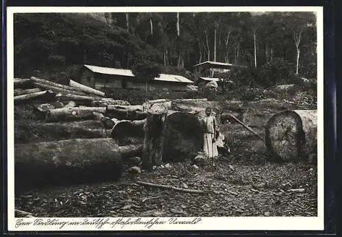 AK Deutsch-Ostafrika, Sägewerk im Urwald