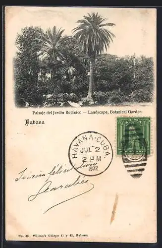 AK Habana, Paisaje del Jardin Botánico