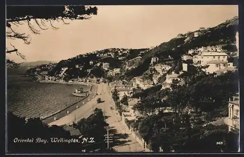 AK Wellington, Oriental Bay