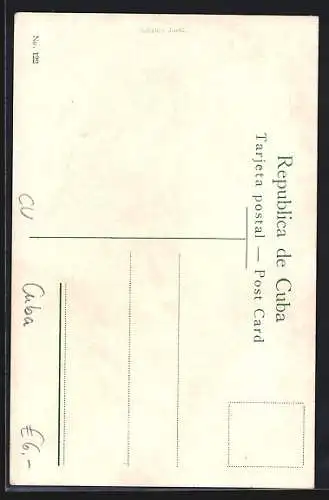 AK Habana, Castillo de la Chorrera