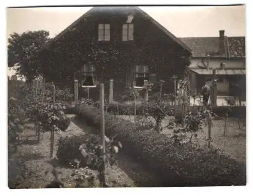 15 Fotografien unbekannter Fotograf, Ansicht Enzesfeld - Lindabrunn / Niederösterreich Bez. Baden, Strassen - & Gebäude