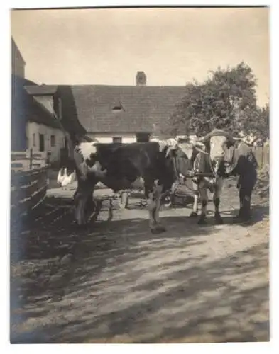 15 Fotografien unbekannter Fotograf, Ansicht Enzesfeld - Lindabrunn / Niederösterreich Bez. Baden, Strassen - & Gebäude