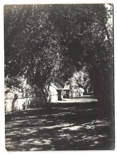 8 Fotografien unbekannter Fotograf, Ansicht Tivoli, Villa d`Este, Treppe zur Villa, Wasserfall, Blick auf die Stadt