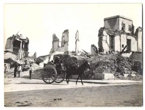 12 Fotografien unbekannter Fotograf, Messina, Barackenstrasse mit Geschäften, Ruinen nach Erdbeben, Campagnaochsen