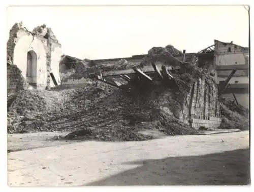 12 Fotografien unbekannter Fotograf, Messina, Barackenstrasse mit Geschäften, Ruinen nach Erdbeben, Campagnaochsen