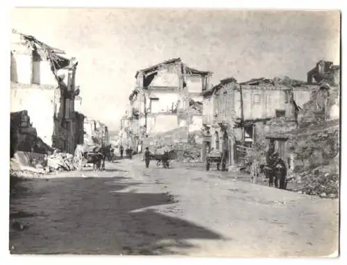 12 Fotografien unbekannter Fotograf, Messina, Barackenstrasse mit Geschäften, Ruinen nach Erdbeben, Campagnaochsen