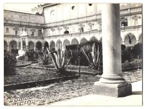 10 Fotografien unbekannter Fotograf, Ansicht Neapel, Strassenpartie, St. Elmo, Blumencorso, Castello novo