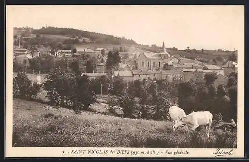 AK Saint-Nicolas des Biefs, Vue generale