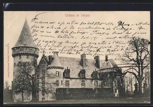 AK Saligny, Le Château