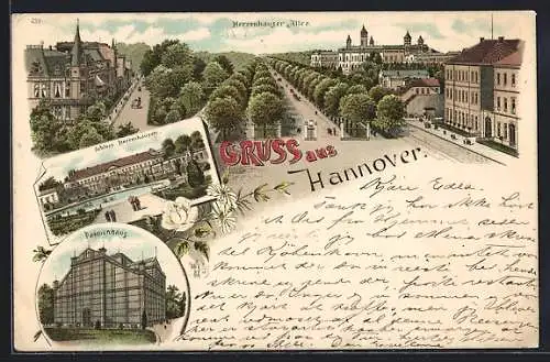 Lithographie Hannover, Herrenhäuser Allee, Schloss Herrenhausen, Palmenhaus