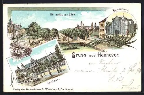 Lithographie Hannover, Herrenhäuser Allee, Parkhaus, Palmenhaus im Berggarten