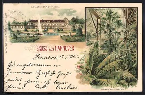 AK Hannover, Schloss Herrenhausen, Palmenhaus, Inneres