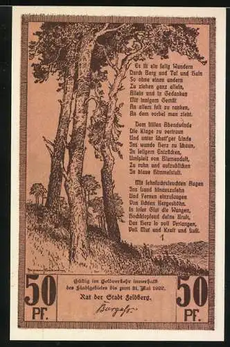 Notgeld Feldberg I.M., 1922, 50 Pfennig, Reutergeld der Stadt mit Landschaftsansicht und Gedicht